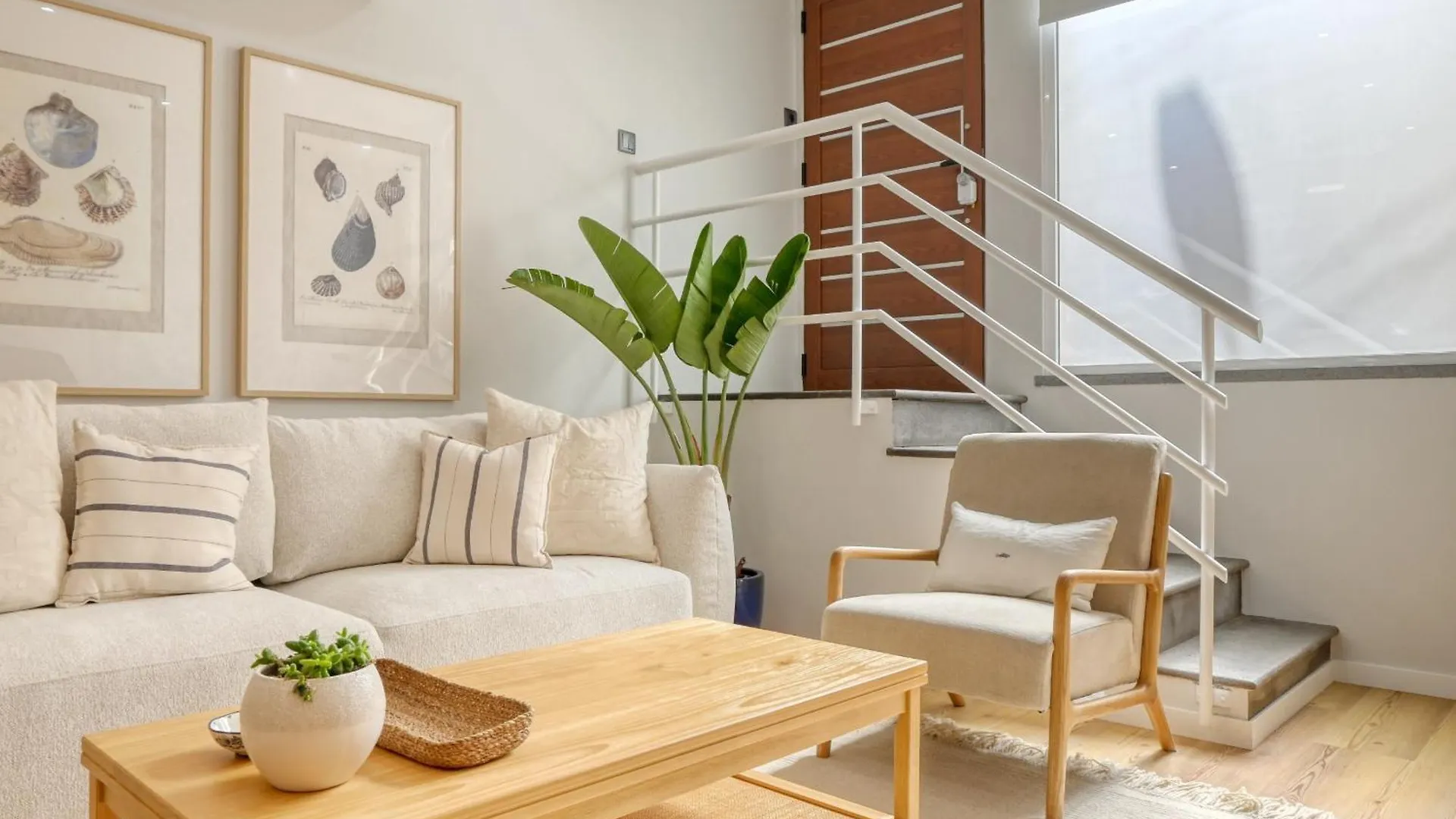 Seashell, A Home In Madeira Machico